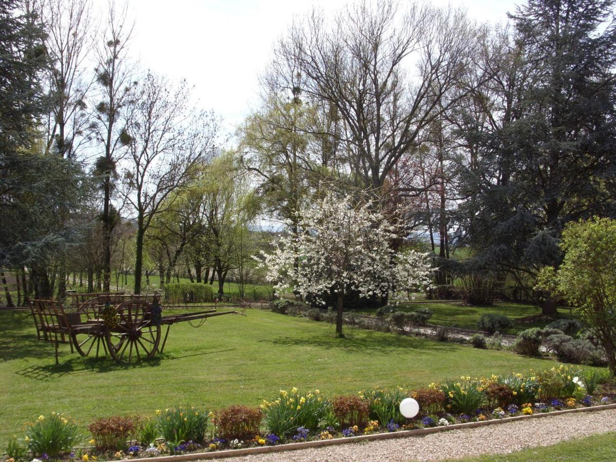 לינה וארוחת בוקר ונוי Domaine De Sainte Anne מראה חיצוני תמונה